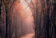 多多28官网：追光 ｜ 新学期来了！体育活动怎么这么热？新华社.