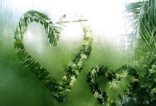 新春走基层｜冬训不停练 山东省游泳队冲刺十五运.