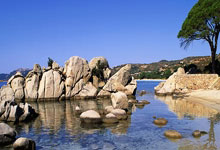 多多28官网：追光 ｜ 新学期来了！体育活动怎么这么热？新华社.